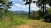 Listing Photo 151743