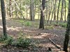 Listing Photo 153672